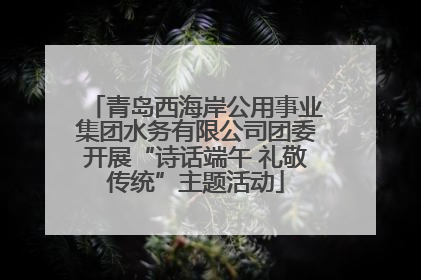 青岛西海岸公用事业集团水务有限公司团委开展“诗话端午 礼敬传统”主题活动
