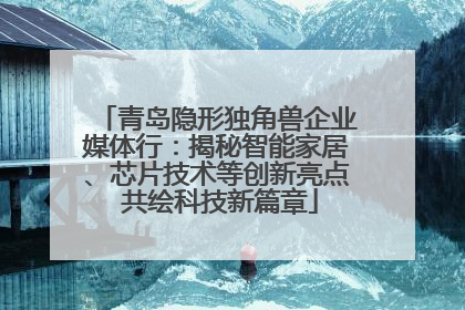 青岛隐形独角兽企业媒体行：揭秘智能家居、芯片技术等创新亮点 共绘科技新篇章