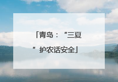 青岛：“三夏”护农话安全