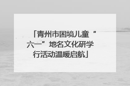 青州市困境儿童“六一”地名文化研学行活动温暖启航