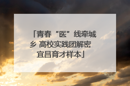 青春“医”线牵城乡 高校实践团解密宜昌育才样本