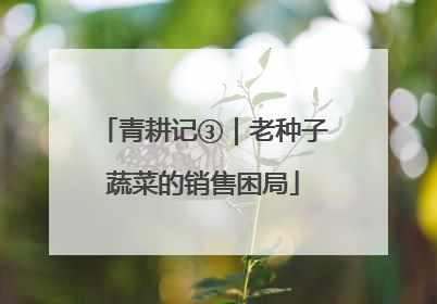 青耕记③｜老种子蔬菜的销售困局