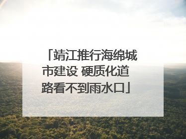 靖江推行海绵城市建设 硬质化道路看不到雨水口