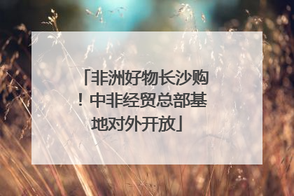 非洲好物长沙购！中非经贸总部基地对外开放