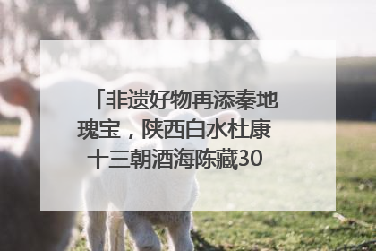 非遗好物再添秦地瑰宝，陕西白水杜康十三朝酒海陈藏30年别具一格