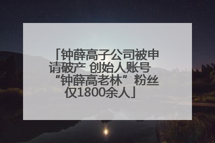 钟薛高子公司被申请破产 创始人账号“钟薛高老林”粉丝仅1800余人