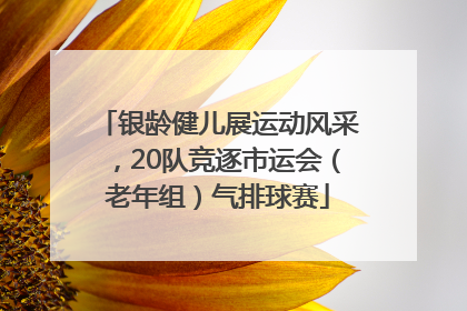 银龄健儿展运动风采，20队竞逐市运会（老年组）气排球赛