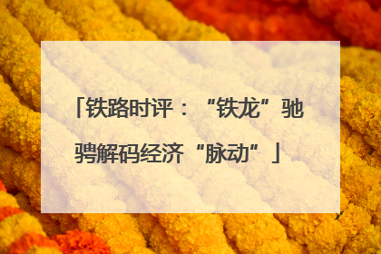 铁路时评：“铁龙”驰骋解码经济“脉动”