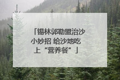 锡林郭勒盟治沙小妙招 给沙地吃上“营养餐”