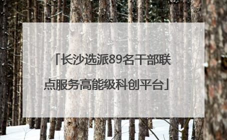 长沙选派89名干部联点服务高能级科创平台