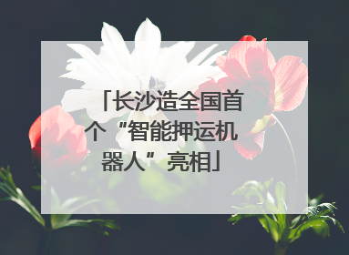 长沙造全国首个“智能押运机器人”亮相