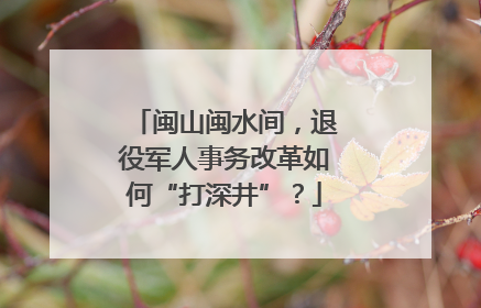 闽山闽水间，退役军人事务改革如何“打深井”？