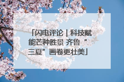 闪电评论｜科技赋能芒种胜景 齐鲁“三夏”画卷更壮美
