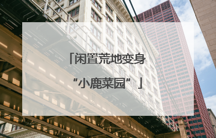 闲置荒地变身“小鹿菜园”