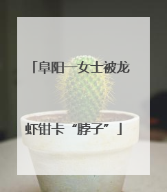 阜阳一女士被龙虾钳卡“脖子”