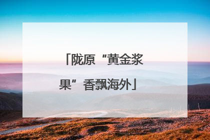 陇原“黄金浆果”香飘海外