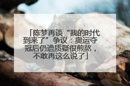 陈梦再谈“我的时代到来了”争议：奥运夺冠后仍遭质疑很煎熬，不敢再这么说了
