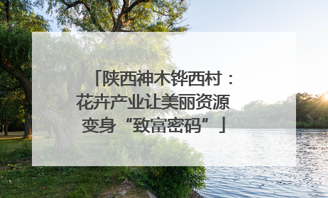 陕西神木铧西村：花卉产业让美丽资源变身“致富密码”