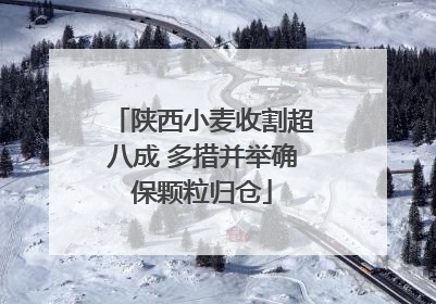 陕西小麦收割超八成 多措并举确保颗粒归仓