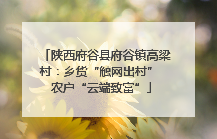 陕西府谷县府谷镇高梁村：乡货“触网出村” 农户“云端致富”