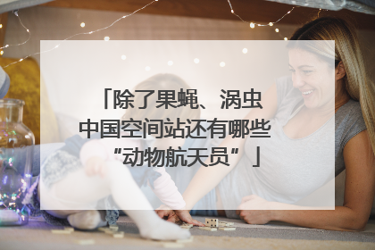 除了果蝇、涡虫 中国空间站还有哪些“动物航天员”