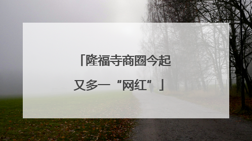 隆福寺商圈今起又多一“网红”