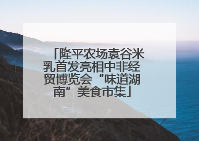 隆平农场袁谷米乳首发亮相中非经贸博览会“味道湖南”美食市集