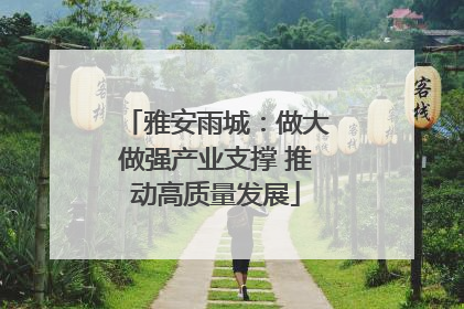 雅安雨城：做大做强产业支撑 推动高质量发展