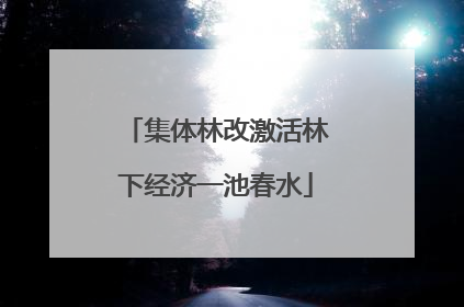 集体林改激活林下经济一池春水