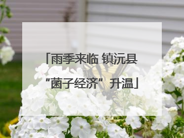 雨季来临 镇沅县“菌子经济”升温