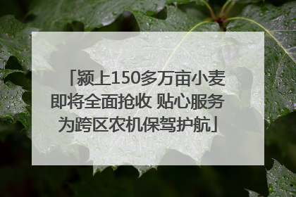 颍上150多万亩小麦即将全面抢收 贴心服务为跨区农机保驾护航