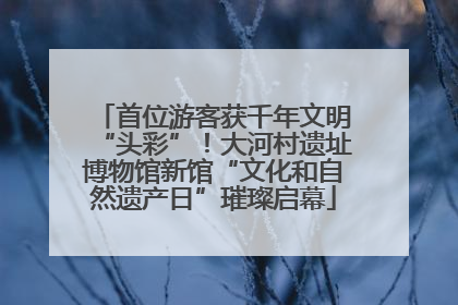 首位游客获千年文明“头彩”！大河村遗址博物馆新馆“文化和自然遗产日”璀璨启幕