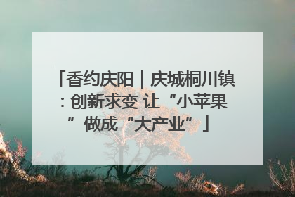 香约庆阳｜庆城桐川镇：创新求变 让“小苹果”做成“大产业”