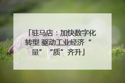 驻马店：加快数字化转型 驱动工业经济“量”“质”齐升