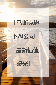 马斯克旗下AI公司，最新估值曝光