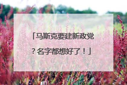 马斯克要建新政党？名字都想好了！