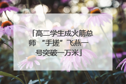 高二学生成火箭总师 “手搓”飞燕一号突破一万米