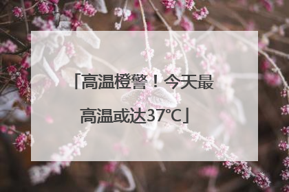 高温橙警！今天最高温或达37℃