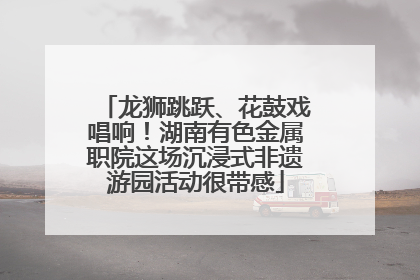 龙狮跳跃、花鼓戏唱响！湖南有色金属职院这场沉浸式非遗游园活动很带感