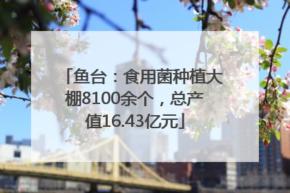鱼台：食用菌种植大棚8100余个，总产值16.43亿元