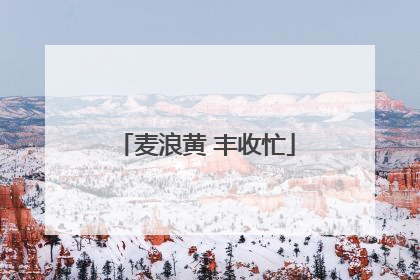 麦浪黄 丰收忙