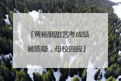 黄杨钿甜艺考成绩被质疑，母校回应