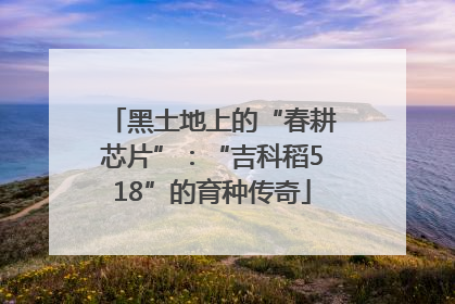 黑土地上的“春耕芯片”：“吉科稻518”的育种传奇