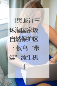 黑龙江三环泡国家级自然保护区：候鸟“带娃”添生机