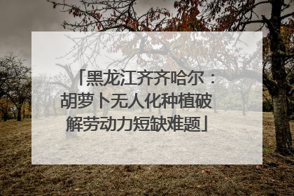黑龙江齐齐哈尔：胡萝卜无人化种植破解劳动力短缺难题