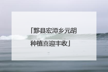 黟县宏潭乡元胡种植喜迎丰收