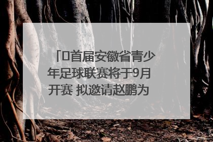 ﻿首届安徽省青少年足球联赛将于9月开赛 拟邀请赵鹏为先导赛开球