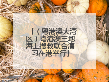 （粤港澳大湾区）粤港澳三地海上搜救联合演习在港举行