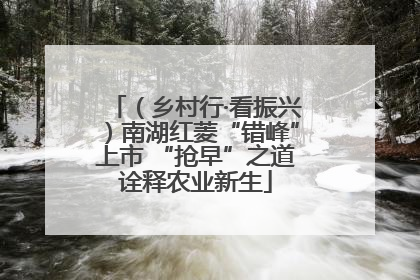 （乡村行·看振兴）南湖红菱“错峰”上市 “抢早”之道诠释农业新生