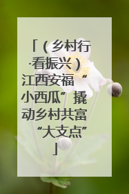 （乡村行·看振兴）江西安福“小西瓜”撬动乡村共富“大支点”